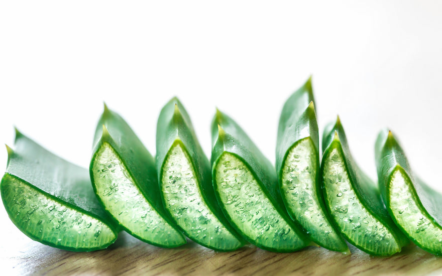 Extracto de Aloe Barbadensis - DermaRadiant