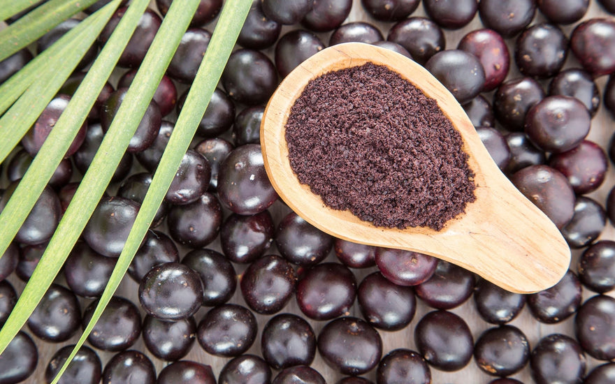 Aceite de Açaí: Antioxidante amazónico rico en omegas y polifenoles | DermaRadiant - DermaRadiant