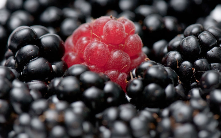 Flavonoides: antioxidantes botánicos para luminosidad y defensa celular | DermaRadiant - DermaRadiant