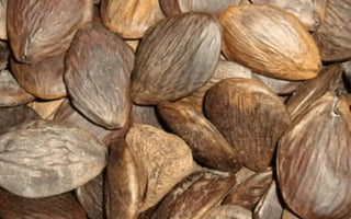 Aceite de Pracaxi - DermaRadiant