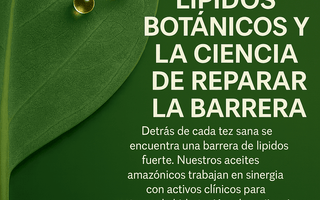 La Barrera Cutánea: Tu Primera Defensa, Restaurada por la Naturaleza - DermaRadiant