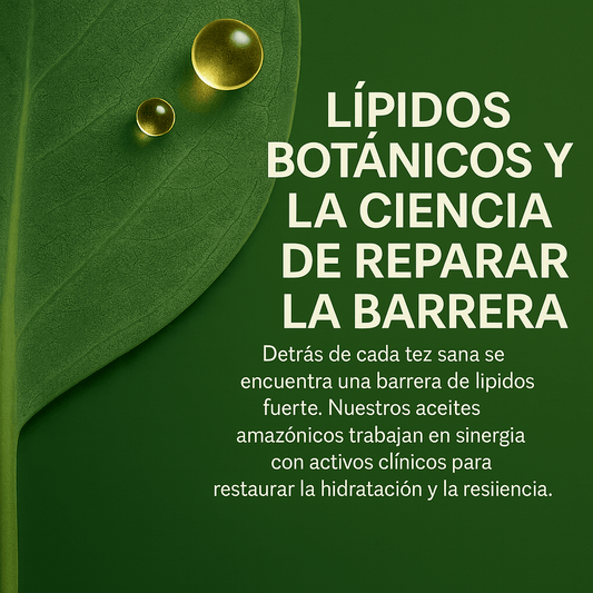 La Barrera Cutánea: Tu Primera Defensa, Restaurada por la Naturaleza - DermaRadiant