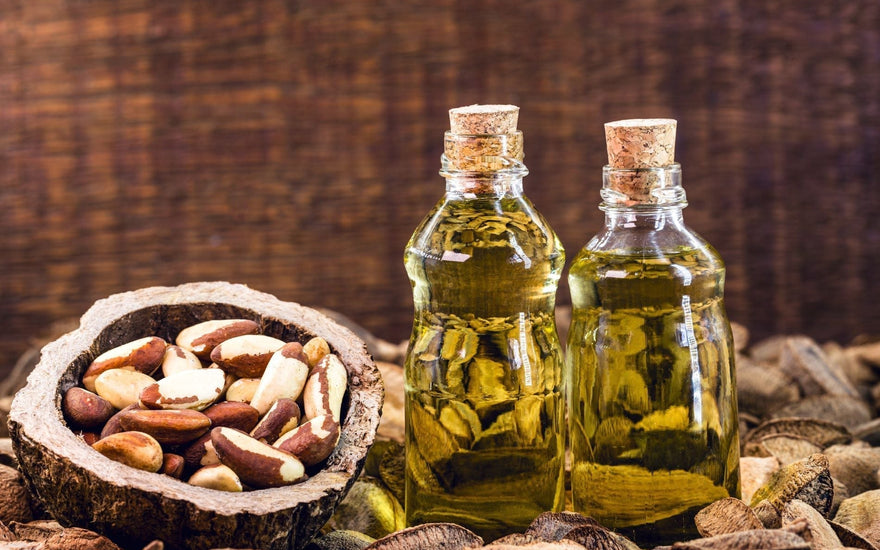 Aceite de Nuez de Brasil: Nutrición profunda y selenio antioxidante | DermaRadiant - DermaRadiant