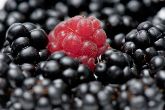 Flavonoides - DermaRadiant