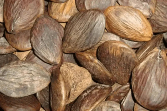 Aceite de Pracaxi - DermaRadiant